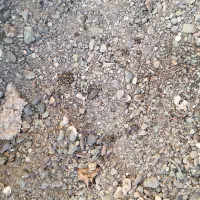 یک دامپر ماسه