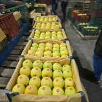 راننده لیفتراک