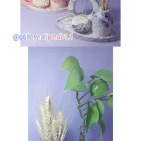 گلدان و گلجای شیک ب صورت تک و عمده|صنایع دستی و سایر لوازم تزئینی|مرودشت, ژیان|دیوار