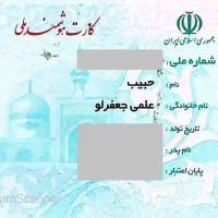 مدارک گم شده (کارت ملی-گواهینامه- کارشناس رسمی)