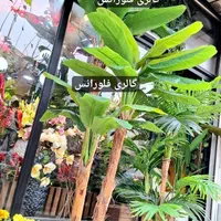 درختچه مصنوعی اصلی نسخه اروپایی|گل مصنوعی|کرج, گوهردشت|دیوار