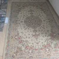 فرش لوزی|فرش|اردبیل, |دیوار