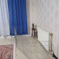 فنس سگ|لوازم جانبی حیوانات|گلبهار, شهر جدید گلبهار|دیوار