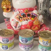 بستنی و کنسرو گربه ونپی