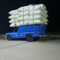 کاه تازه