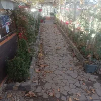 استخدام نیرو