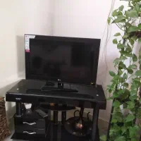 تلوزیون مارک ال‌جی دیجیتال سرخود بامیز