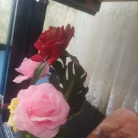 گل.|گل مصنوعی|نورآباد, |دیوار