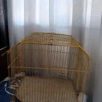 وسیله منزل|تجهیزات ورزشی|جوانرود, |دیوار