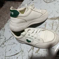 کفش|کیف، کفش، کمربند|شیراز, کفترک|دیوار