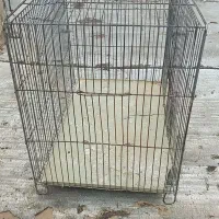 قفس پرنده