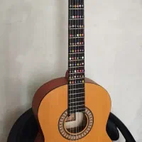 گیتار پارسی m2