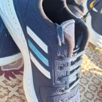 کتانی  ۴۱تا۴۴