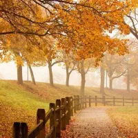 نظافت ساختمان