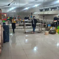 نیروی آقا برای آشپزخانه مرکزی سیبینو