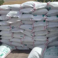 خریدارکودشیمیایی