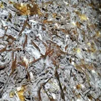 کود کمپوست قارچ