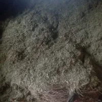 علف گیاه|لوازم جانبی حیوانات|خاو و میرآباد, |دیوار