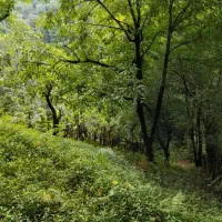 زمین-کوهستانی