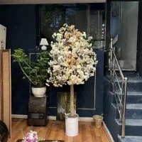درختچه شکفه