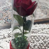 گلدان رو میزی کادویی باگل رز