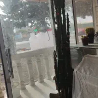 گل افوربیا|گل و گیاه طبیعی|گلمکان, |دیوار