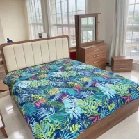 لارا کمد|جاکفشی، کمد، دراور|چالوس, |دیوار