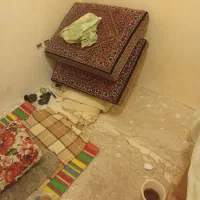 فروش یک جفت پشتی دستباف افشار