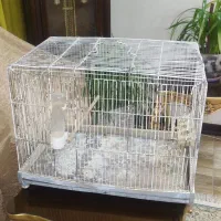 قفس پرنده وخرگوش