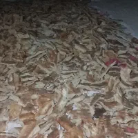 نان خشک تمیز بدون کپک