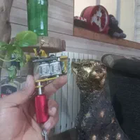 دو عدد دستگاه تاتو گان تفنگی ق ۲/۸۰۰ فوری مفت|آرایشی، بهداشتی، درمانی|کرمان, |دیوار