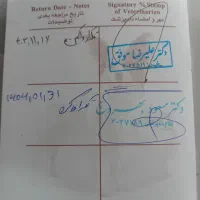 واگذاری سگ|سگ|اردبیل, |دیوار