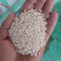 خرید و فروش ضایعات و سفیدک برنج و نیمدانه