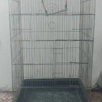 قفس طوطی سانان