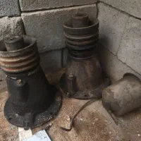 فوری|خدمات باغبانی و درختکاری|بیکاه, |دیوار