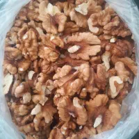 مغز گردو درجه یک