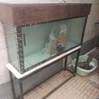 آکواریوم با کلیه لوازم