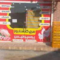 کالابرگ مرغ زنده