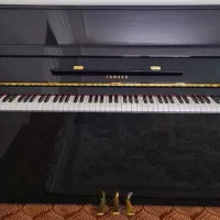 پیانو در حد|پیانو، کیبورد، آکاردئون|تبریز, |دیوار