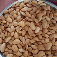 بادام امسال|خوردنی و آشامیدنی|شیراز, تندگویان|دیوار