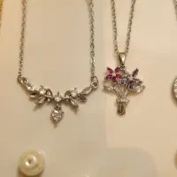 انواع گردنبندهای استیل|بدلیجات|شیراز, دشت چنار|دیوار