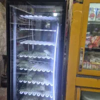 فریزر قدی سالم در حال کار