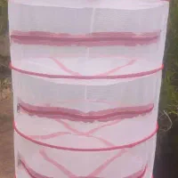 توری خشک کن میوه و سبزی