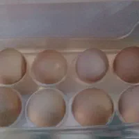 تخم مرغ بومی خانگی|خوردنی و آشامیدنی|اصفهان, شمس آباد|دیوار