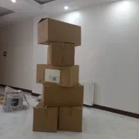 کارتن اسباب کشی