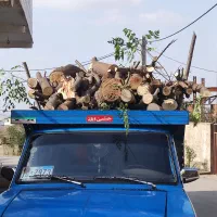 خرید چوب باغی و ساختمانی