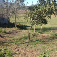 زمین مسکونی ۳۰۰متری سراوان بازارچه شهرستان