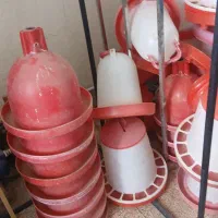 آبخوری دان خوری جا آبی جا دانی تجهیزات مرغداری