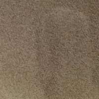 بذر درجه یک کیلوی 6۰۰