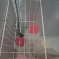 یخچال فریزر